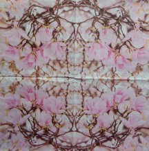 Ubrousky 33 x 33 cm Pink magnolia