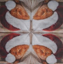 Ubrousky 33 x 33 cm Santa kotě spí