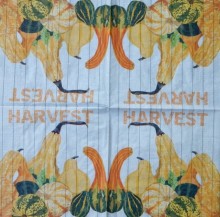 Ubrousky 33 x 33 cm Dýně Harvets