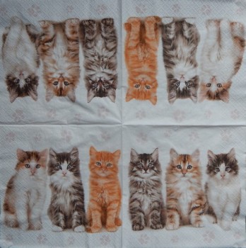 Ubrousky 33 x 33 cm Tři krásné kočičky