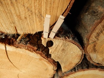 Dřevěné kolíčky 24 ks  3 cm 