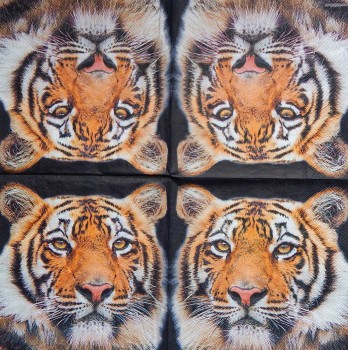 Ubrousky 33 x 33 cm Bengal tygr