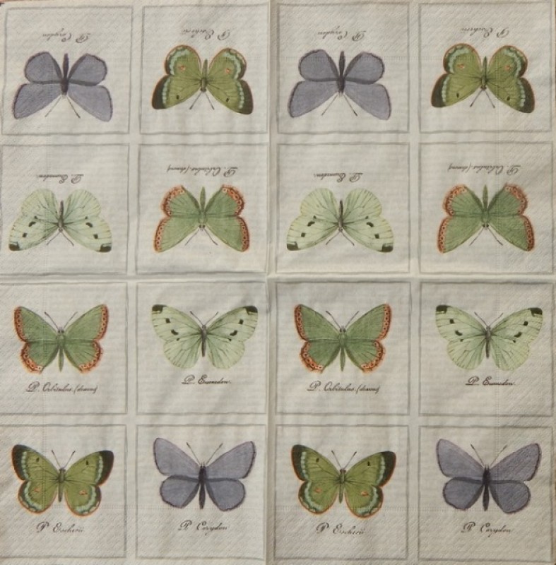 Ubrousky 33 x 33 cm Motýli 4